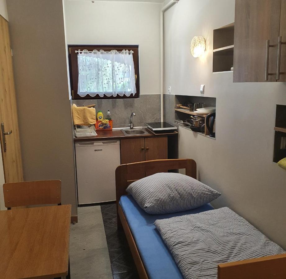 Noclegi Silesia Aster Tychy Chambre photo